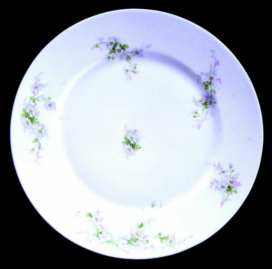 GUE61 Dinner Plate by WM Guerin-1