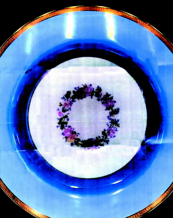 GUE64 Dinner Plate by WM Guerin-1