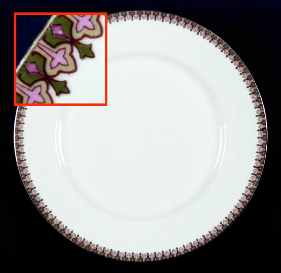 GUE76 Dinner Plate by WM Guerin-1