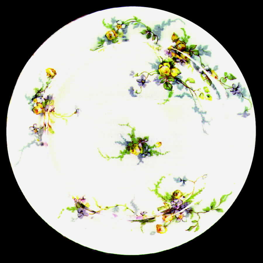 GUE87 Bread & Butter Plate by WM Guerin-1