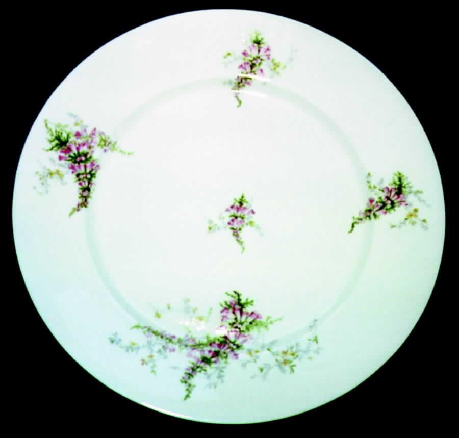 GUE89 Dinner Plate by WM Guerin-1