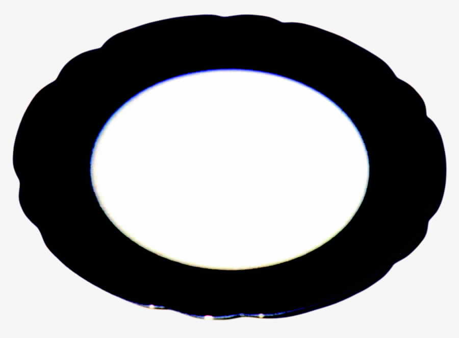 GUE92 Dinner Plate by WM Guerin-1