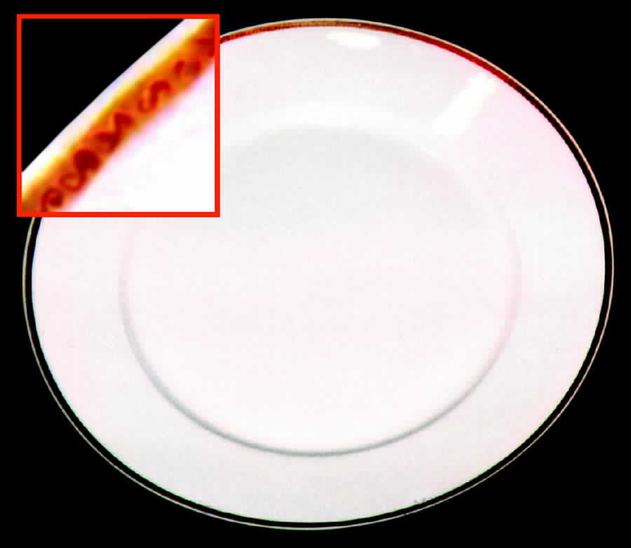 GUE93 Dinner Plate by WM Guerin-1
