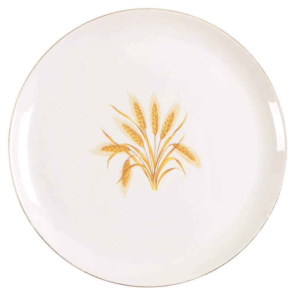 GEO139 Dinner Plate by WS George-1