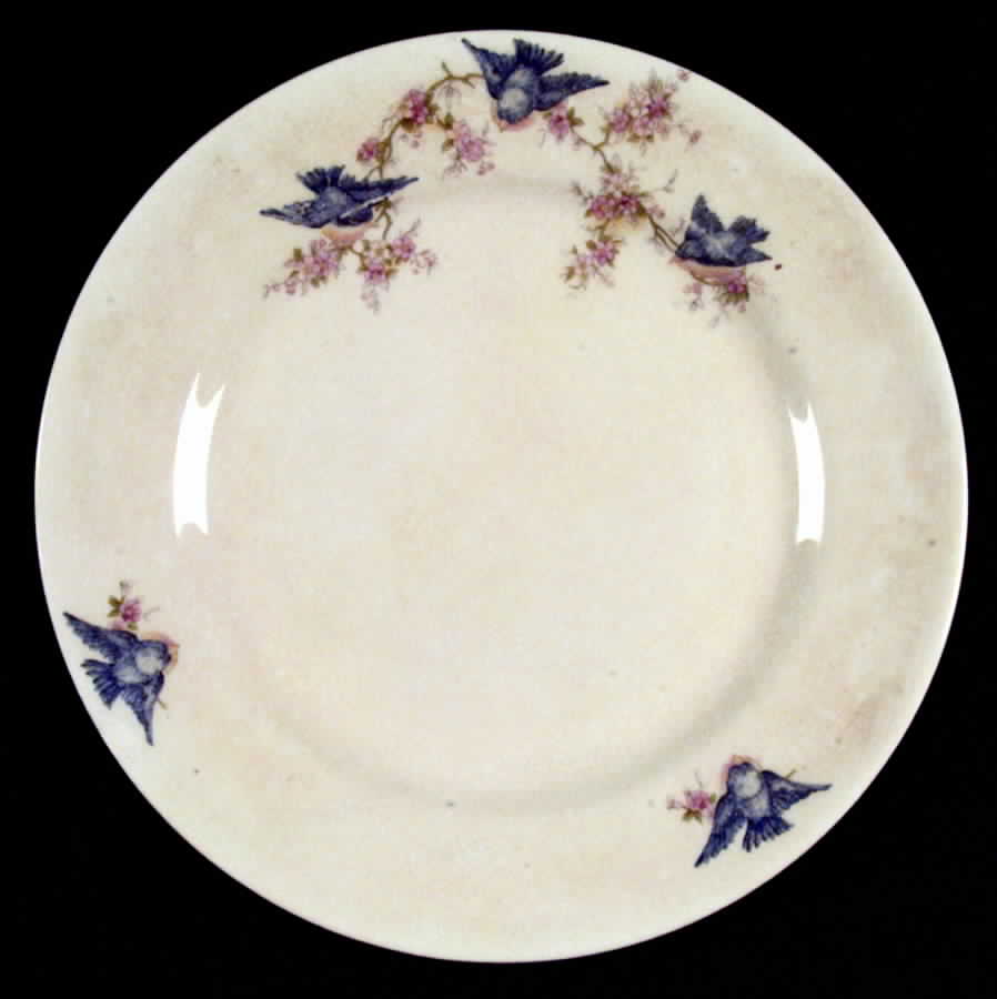 Bluebird Dinner Plate by WS George-1