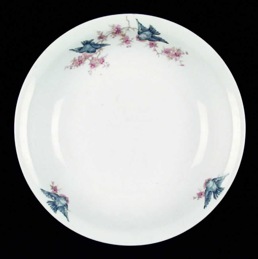 Bluebird Coupe Soup Bowl by WS George-1