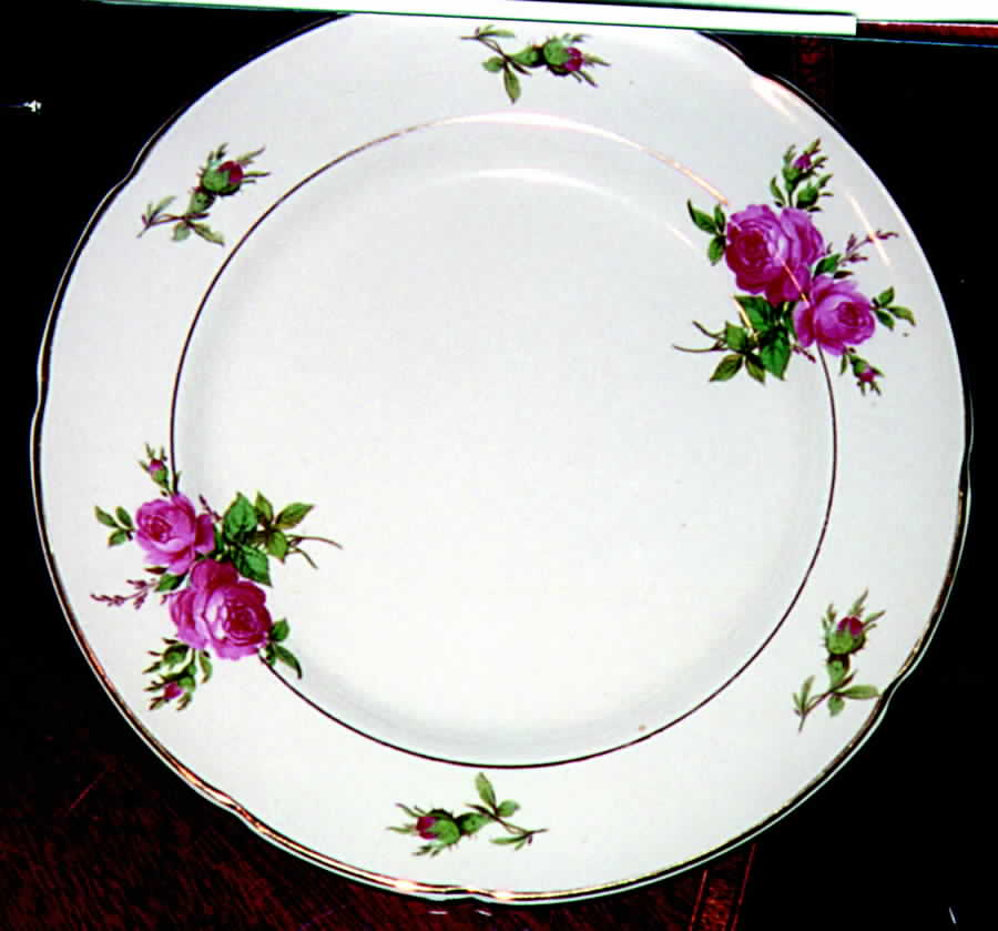 GOA2 Dinner Plate by Gouda-Holland-1