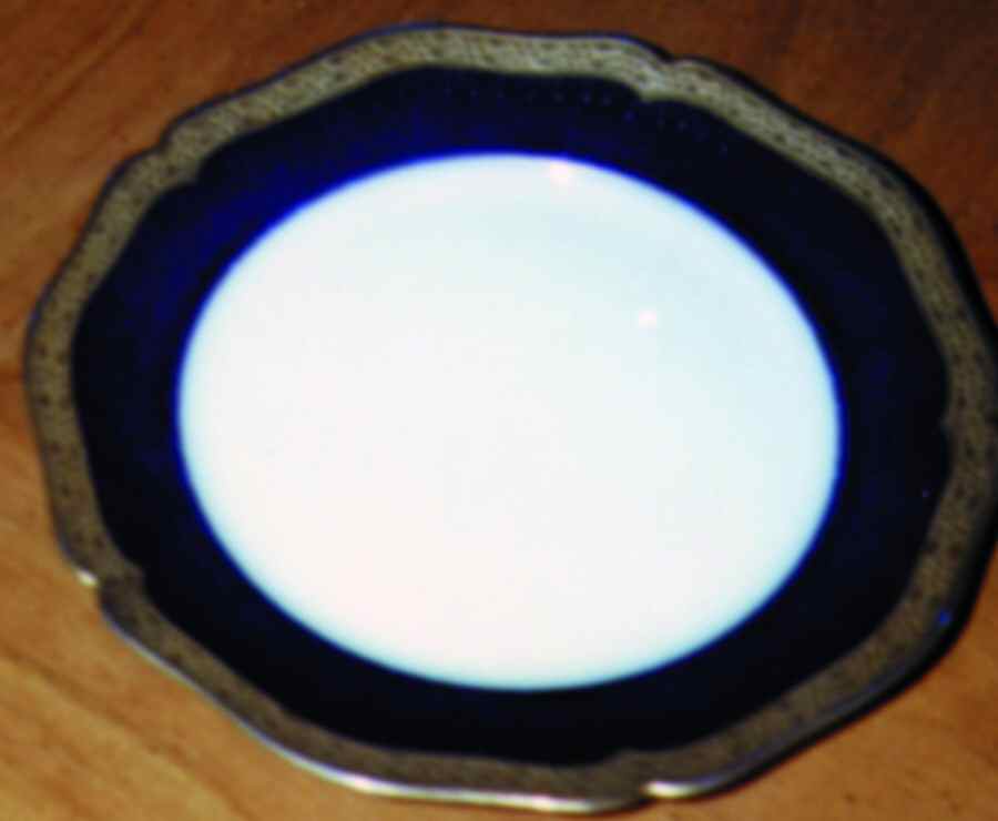 GUE182 Dinner Plate by WM Guerin-1