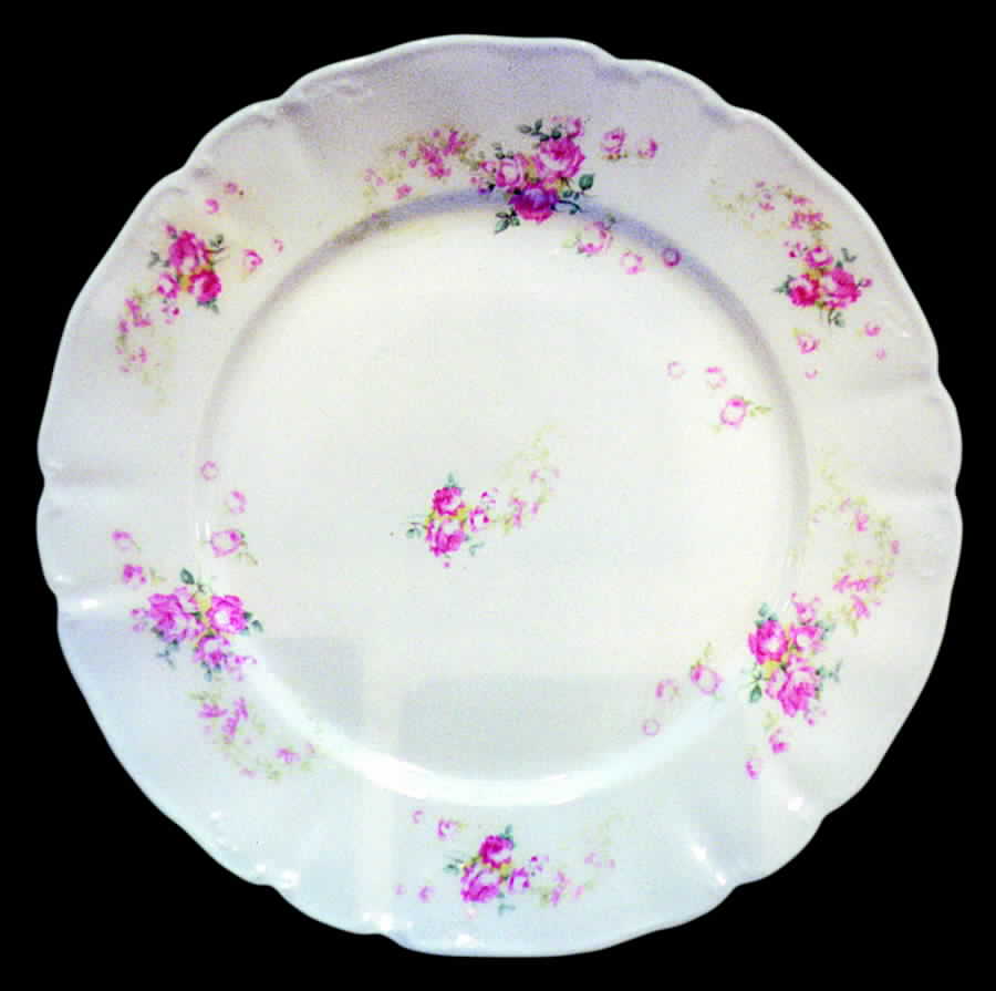 GUE194 Dinner Plate by WM Guerin-1