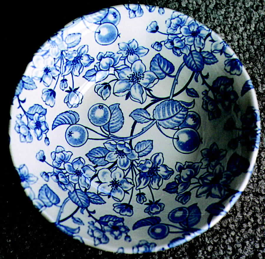 Bryony Coupe Soup Bowl by Grindley-1
