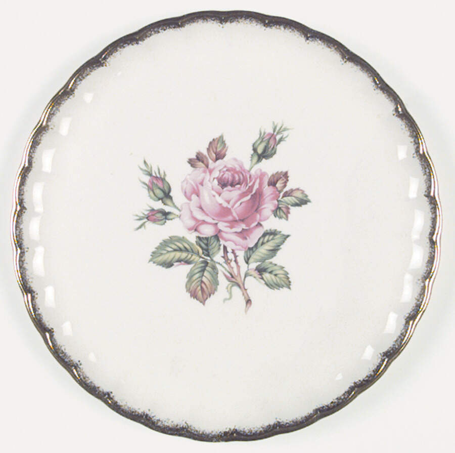 B8774K Dinner Plate by WS George-1