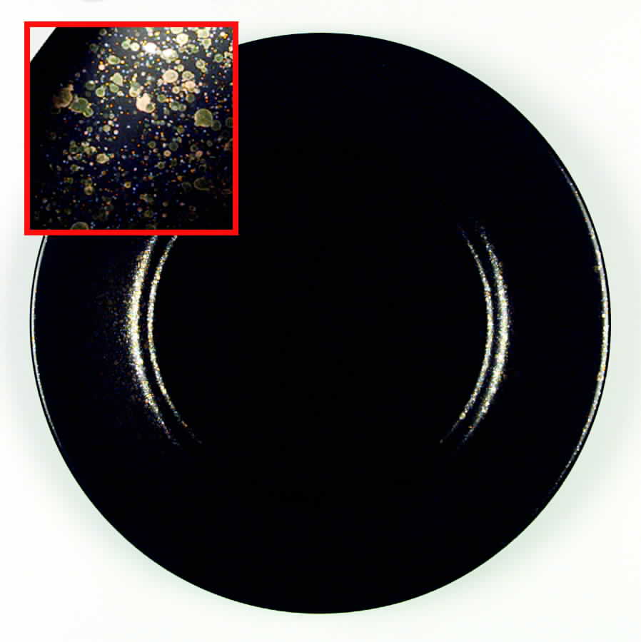 Presentation Meteore Service Plate (Charger) by Faiencerie De Gien-1