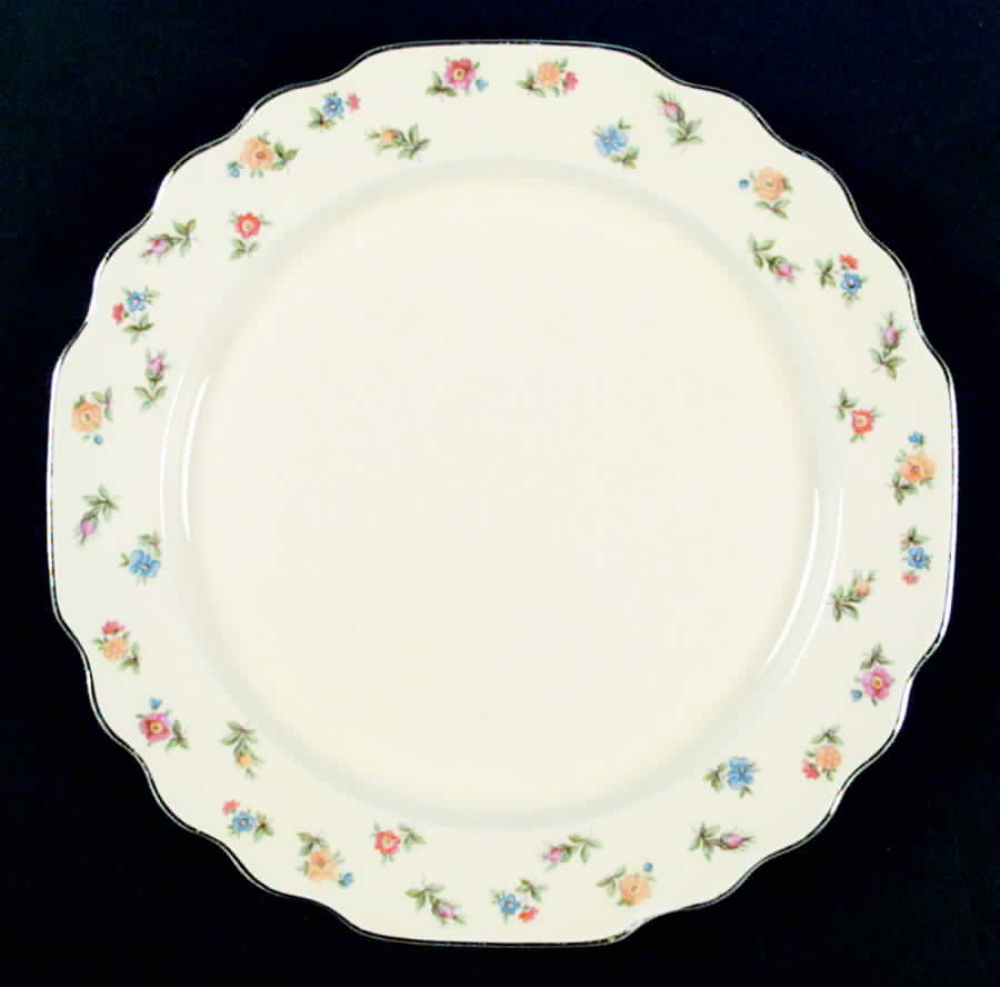 5S8457H Dinner Plate by WS George-1