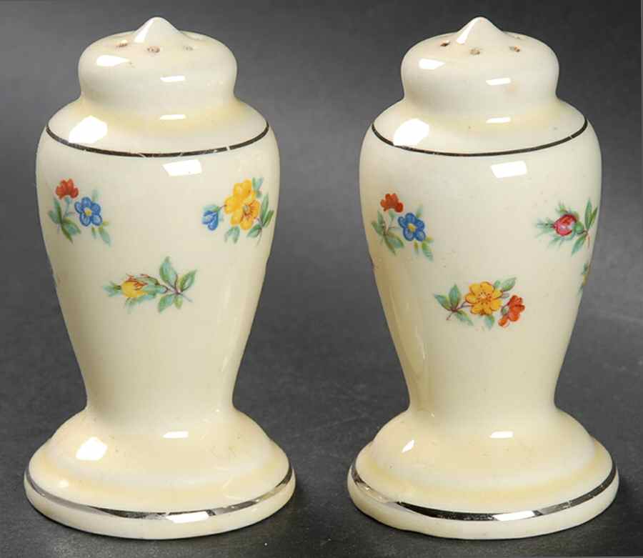 5S8457H Salt & Pepper Set by WS George-1