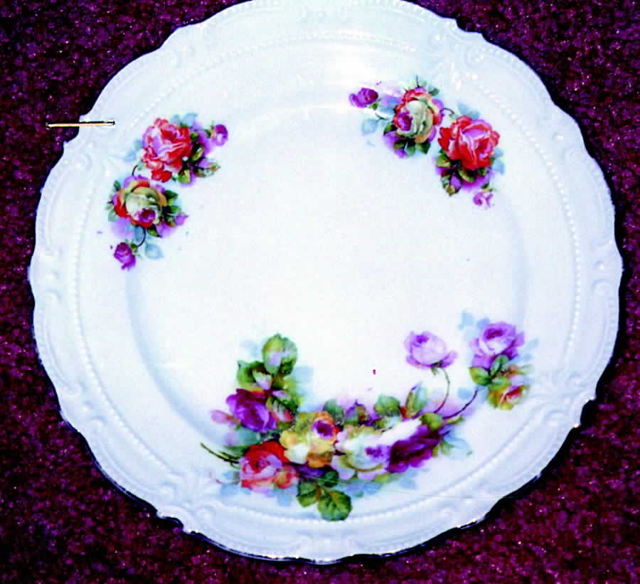GMY20 Dinner Plate by Germany-1