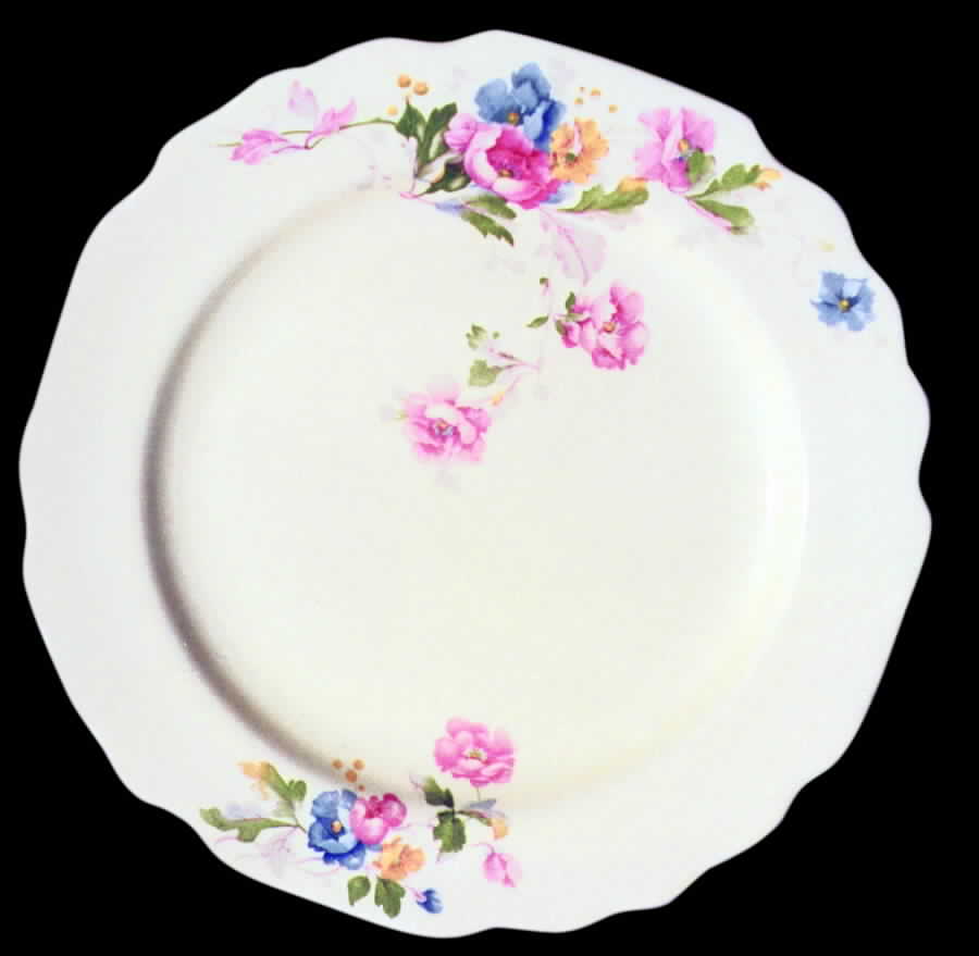 GEO178 Dinner Plate by WS George-1