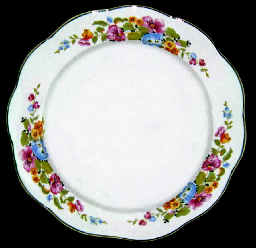 GEO180 Dinner Plate by WS George-1