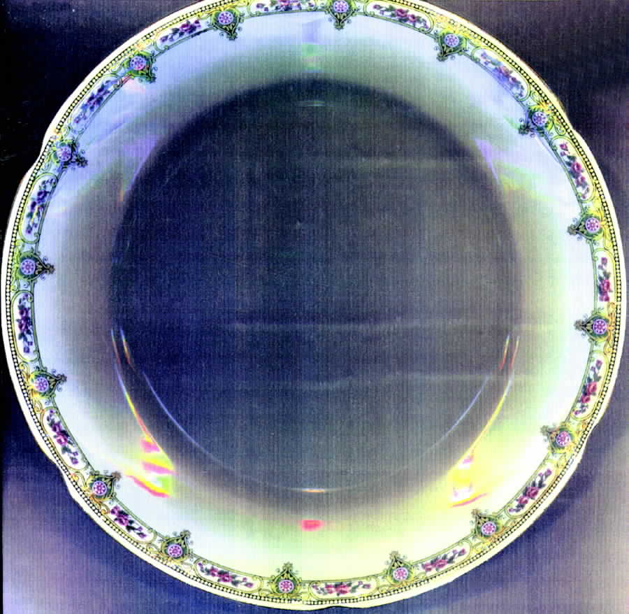 1214 Dinner Plate by Ginori 1735-1