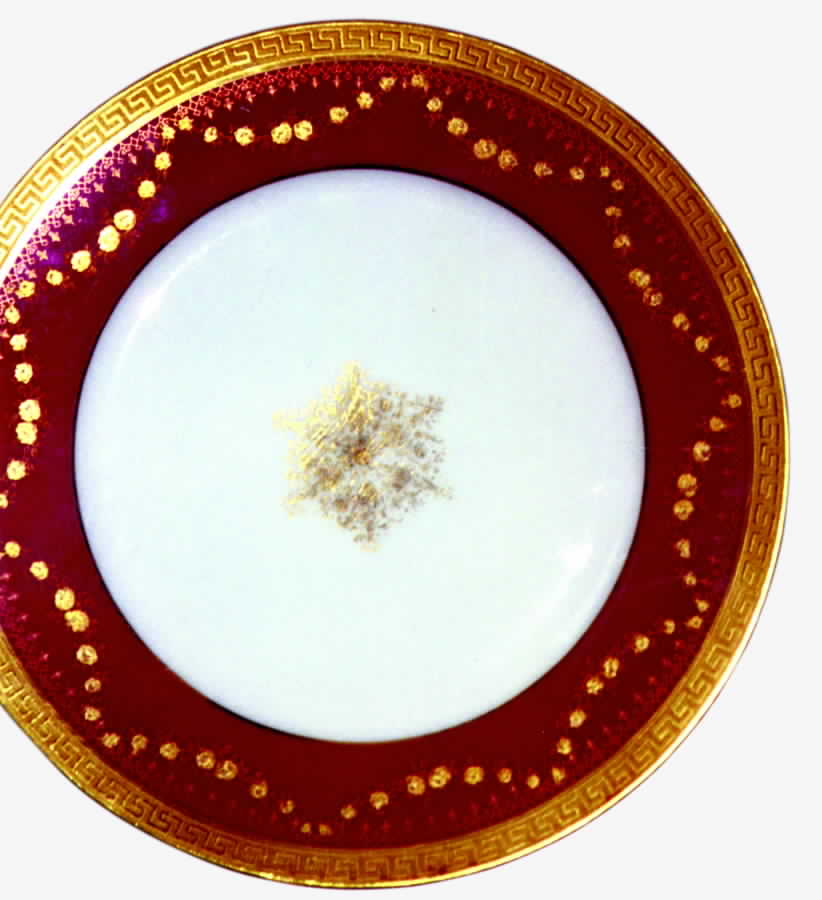 GUE215 Dinner Plate by WM Guerin-1