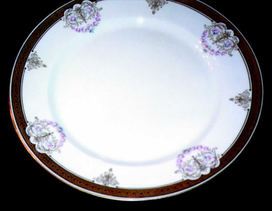 GUE216 Dinner Plate by WM Guerin-1