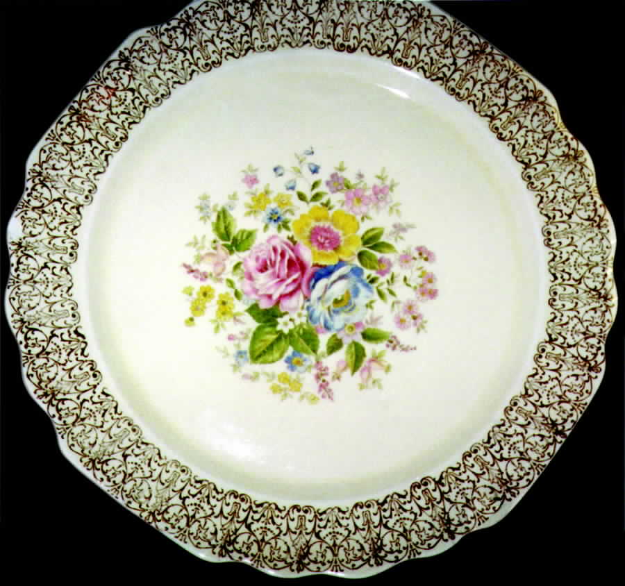 GEO189 Dinner Plate by WS George-1