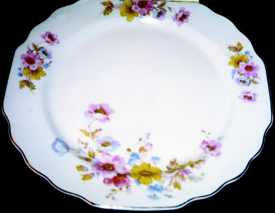 GEO192 Dinner Plate by WS George-1