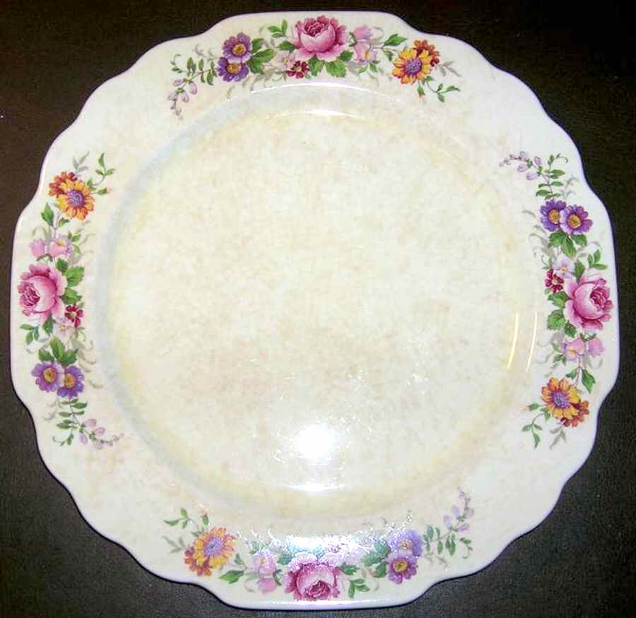 GEO193 Dinner Plate by WS George-1