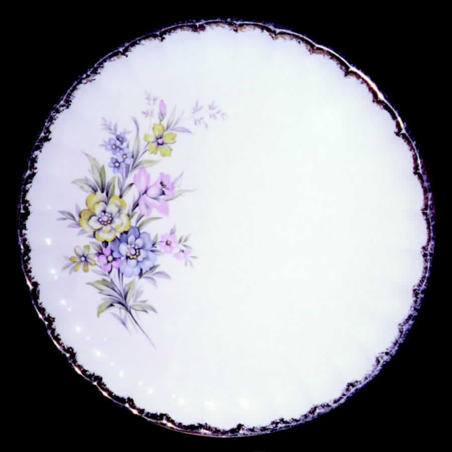 GEO195 Dinner Plate by WS George-1