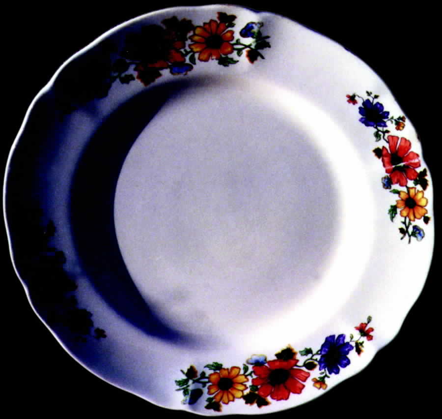 GEO196 Dinner Plate by WS George-1
