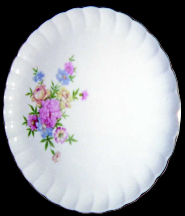B8743 Dinner Plate by WS George-1