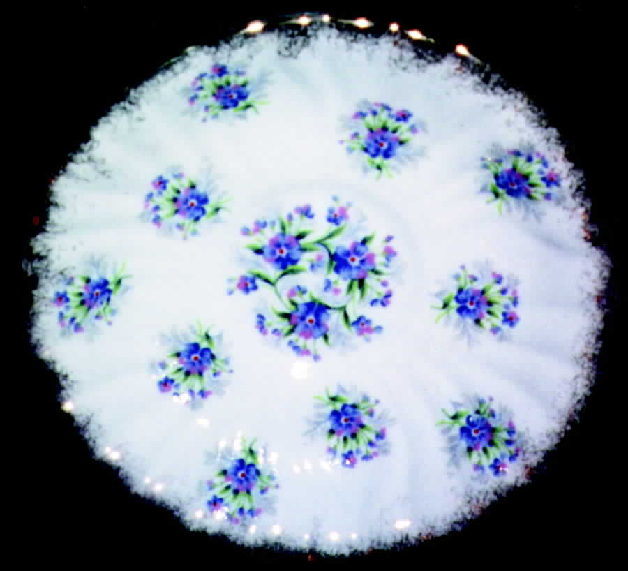 Forget-Me-Not Saucer by Gladstone-1