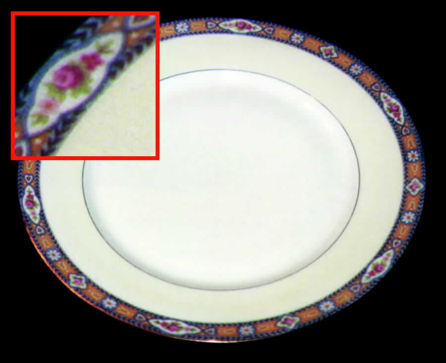 GUE245 Dinner Plate by WM Guerin-1