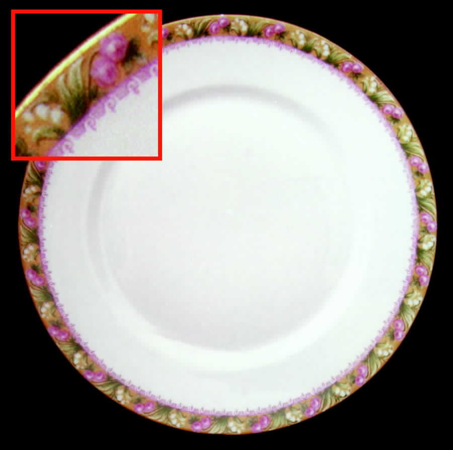 GUE253 Dinner Plate by WM Guerin-1