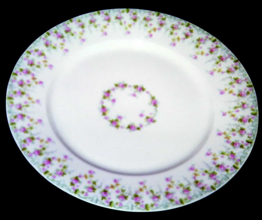 GUE257 Dinner Plate by WM Guerin-1