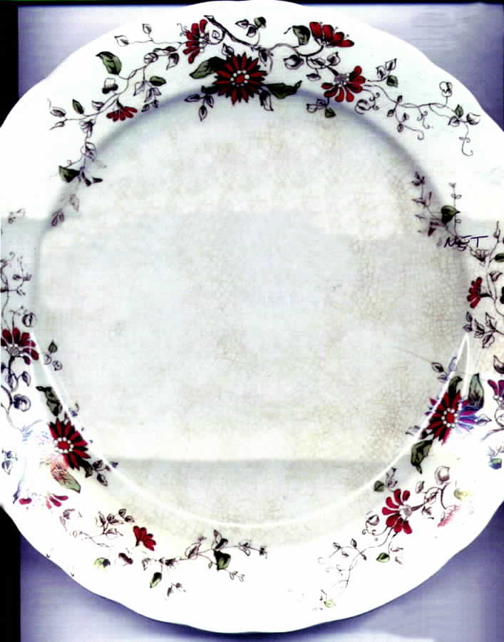 GNC1 Dinner Plate by Green & Clay-1