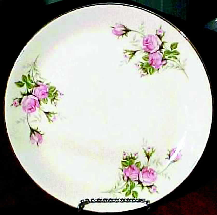 GEO204 Dinner Plate by WS George-1