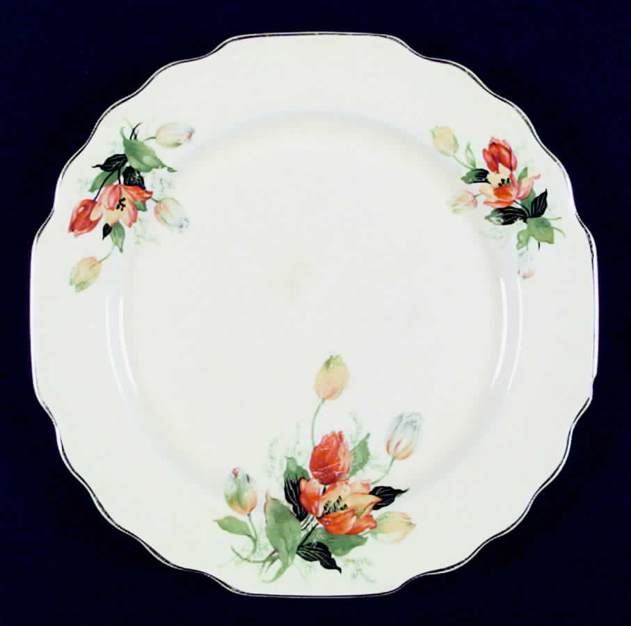 GEO206 Dinner Plate by WS George-1