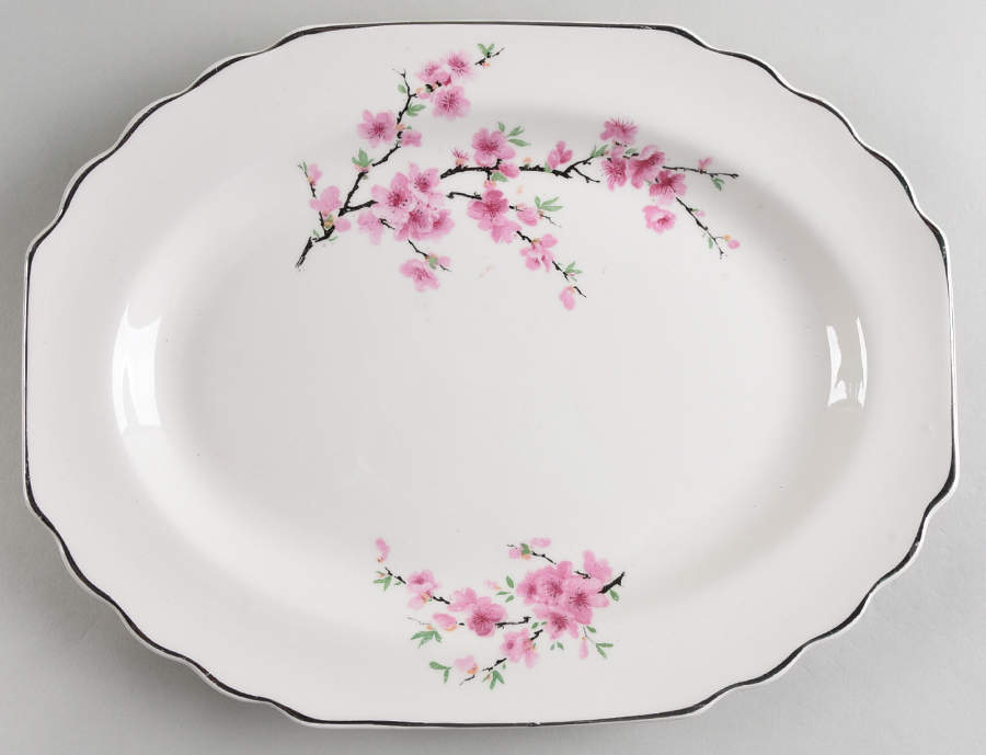Peach Blossom (Lido, White Body, Platinum) 11" Oval Serving Platter by WS George-1