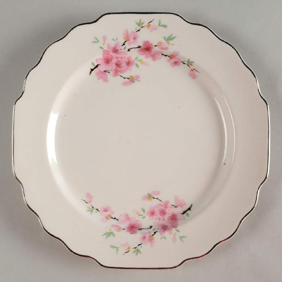 Peach Blossom (Lido, White Body, Platinum) Salad Plate by WS George-1