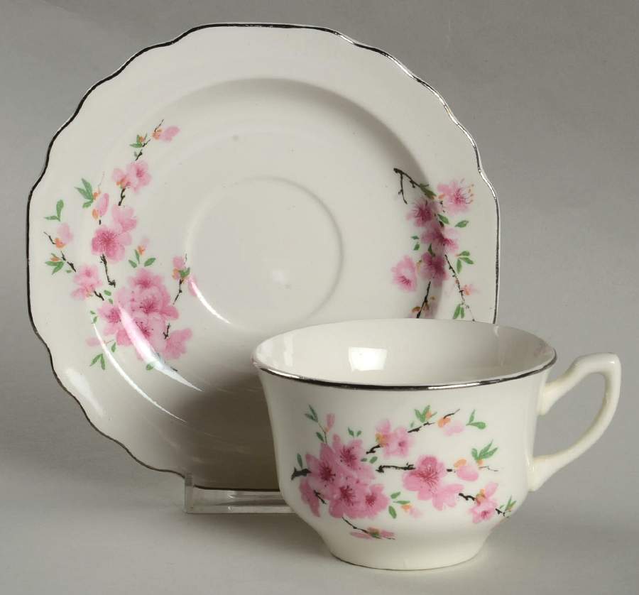 Peach Blossom (Lido, White Body, Platinum) Flat Cup & Saucer Set by WS George-1