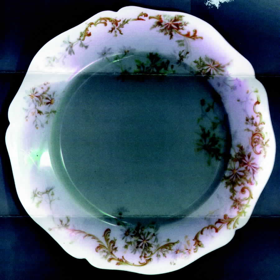GUE273 Dinner Plate by WM Guerin-1