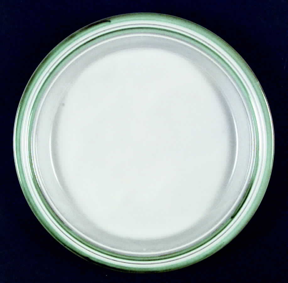Tyrol Green Dinner Plate by Goebel-1