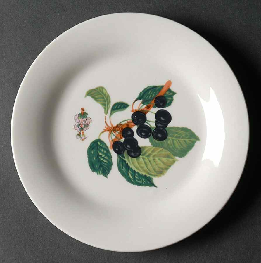 Grove Salad Plate by Gibson Designs-1