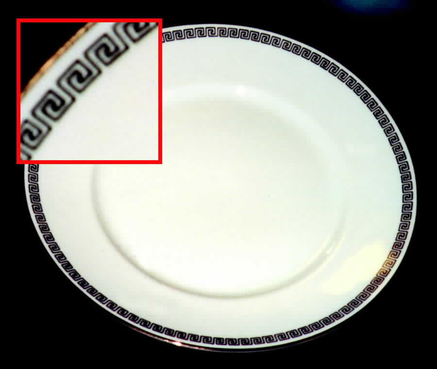 GIN76 Dinner Plate by Ginori 1735-1