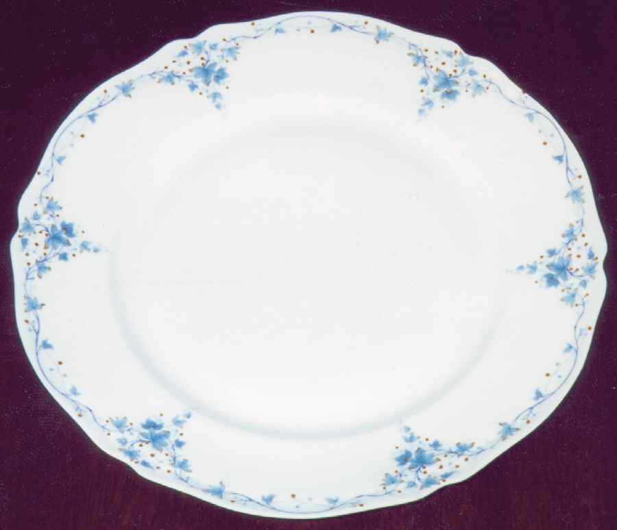 GIR7 Dinner Plate by Giraud China-1