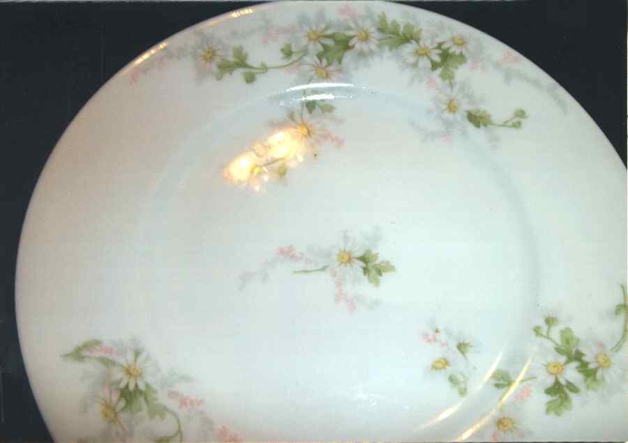 GUE285 Dinner Plate by WM Guerin-1