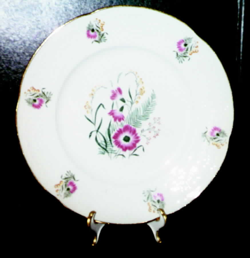 GIN79 Dinner Plate by Ginori 1735-1