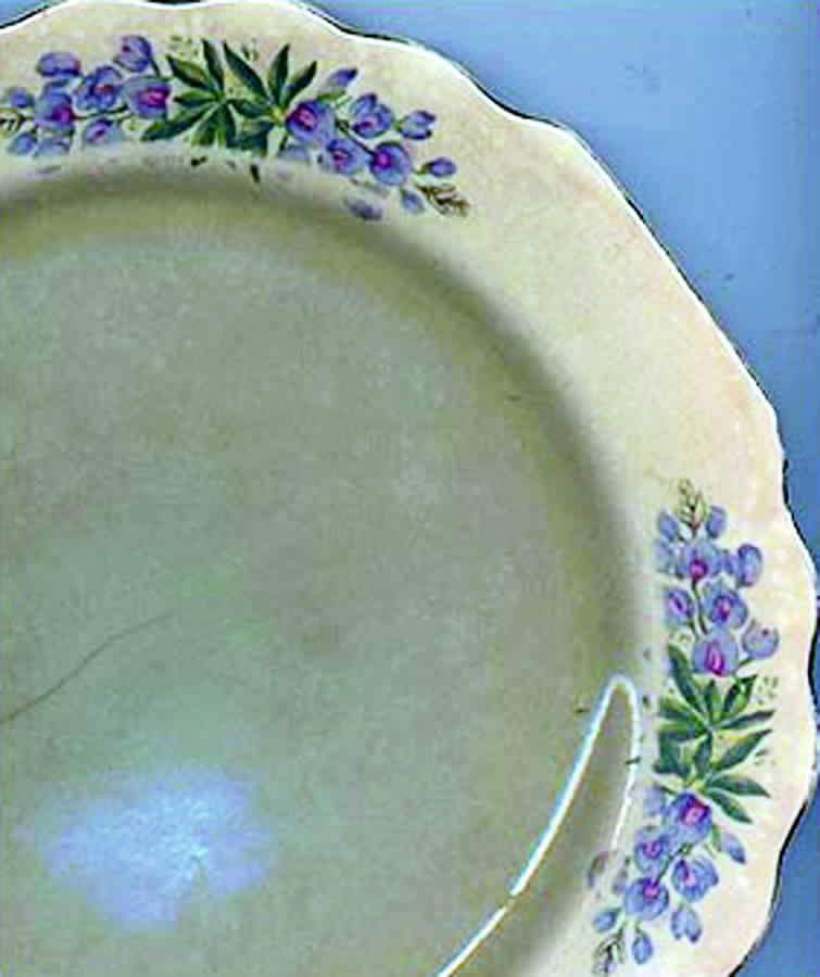 GEO223 Dinner Plate by WS George-1