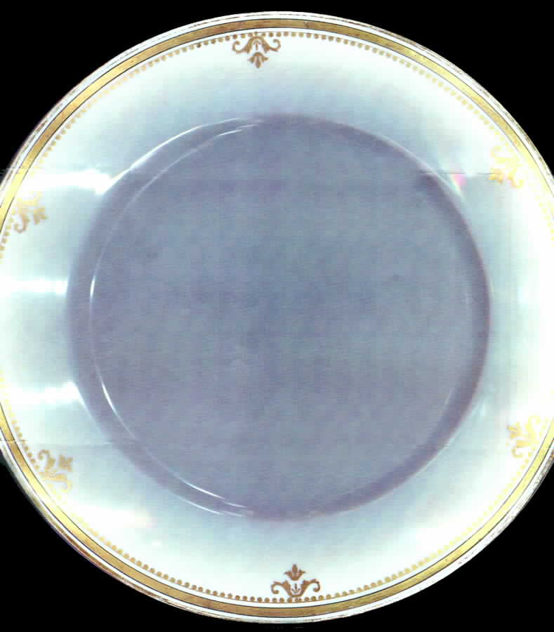 GUE298 Dinner Plate by WM Guerin-1