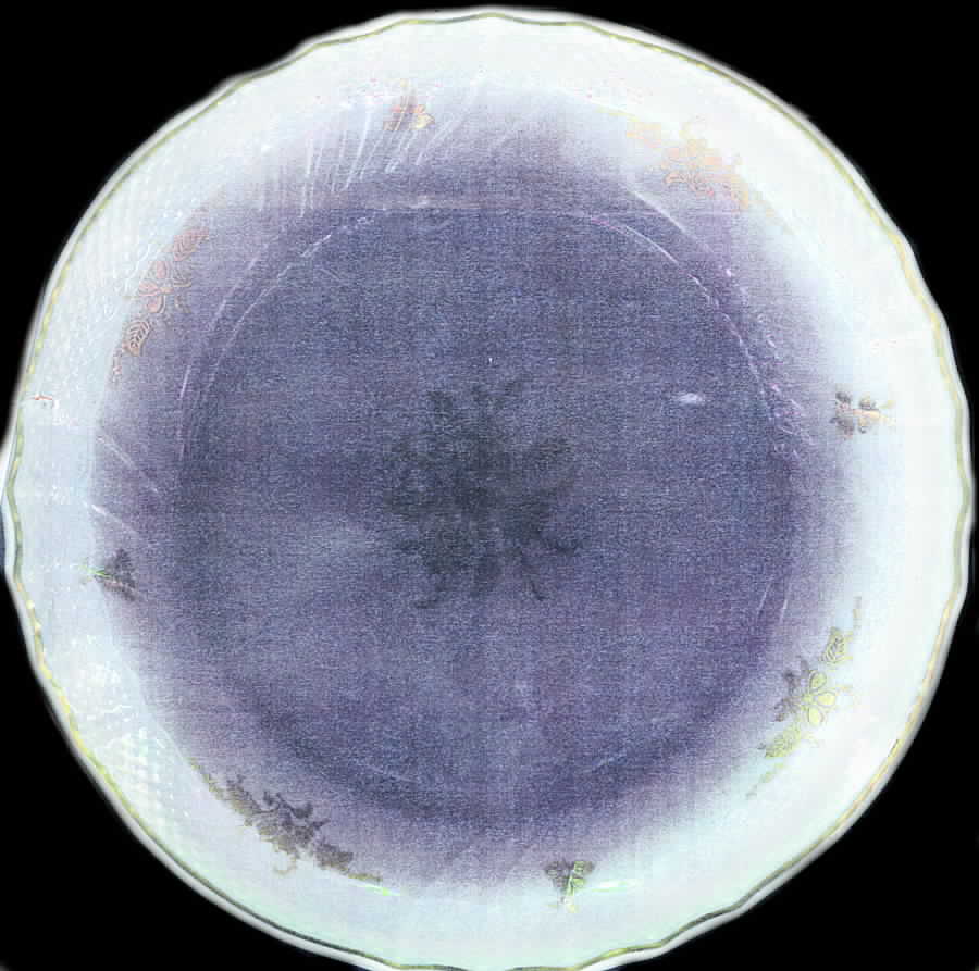 Verona Dinner Plate by Ginori 1735-1